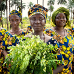 Sierra Leone : Les réformes éducatives devraient tenir compte des voix des filles