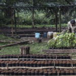 La Fondation Gates honore les lauréats des Goalkeepers Awards 2023 et annonce des engagements  pour faire progresser les Objectifs de développement durable