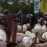 Lutte contre le paludisme au Mali : l’ONG Médecins Sans Frontières présente ses stratégies d’actions