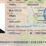 Bamex’25 : Le Mali abrite le premier Salon international de la Défense et de la Sécurité en novembre
