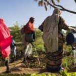 Mali – France : Le divorce sécuritaire consommé