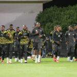 Paludisme et mortalité infantile : un défi crucial pour l’avenir de la santé en Afrique