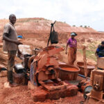 Maladies rénales : l’urgence de la prévention