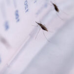 Brand Africa annonce l’inaugural Africa CMO 100