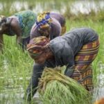 Enseignement secondaire : Le retour qui divise